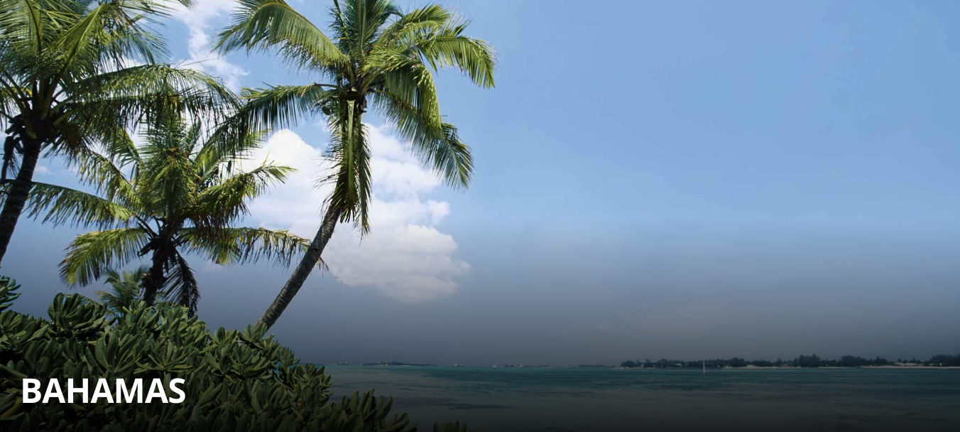 Screenshot 2023-07-27 at 11.07.21.png