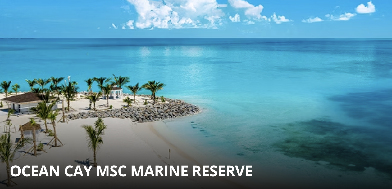 Screenshot 2023-07-27 at 11.07.28.png